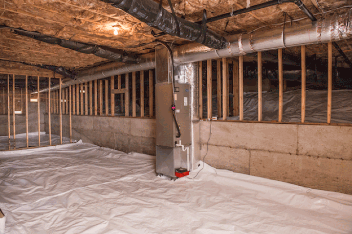 Why Your Crawl Space Might Be Making, Can Damp Basement Make You Sick