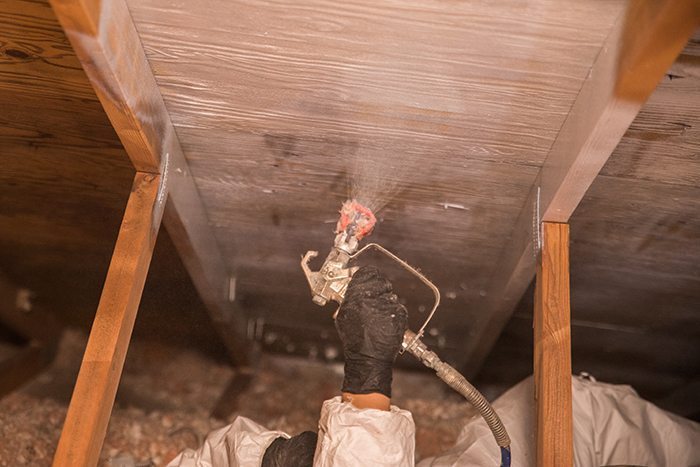 Black Mold Removal Tips for Your Home