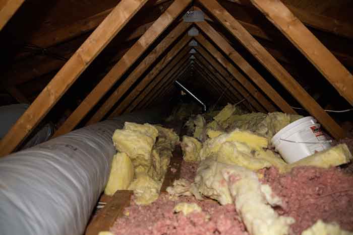 before attic insulation removal