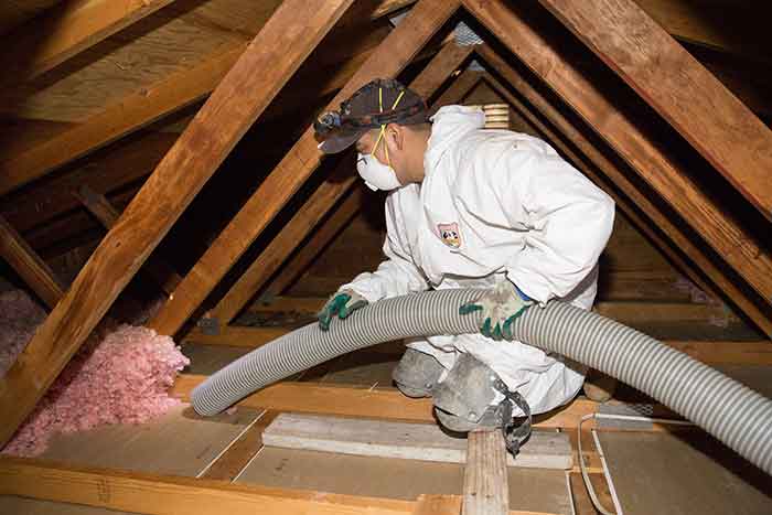 removing attic insualtion