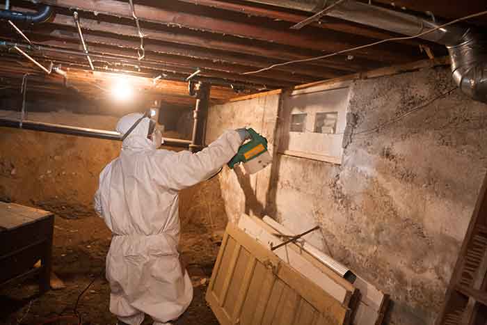 Crawl Space Mold Removal Seattle