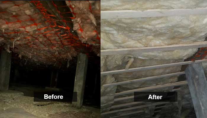 Romeo T Crawl Space Before and After