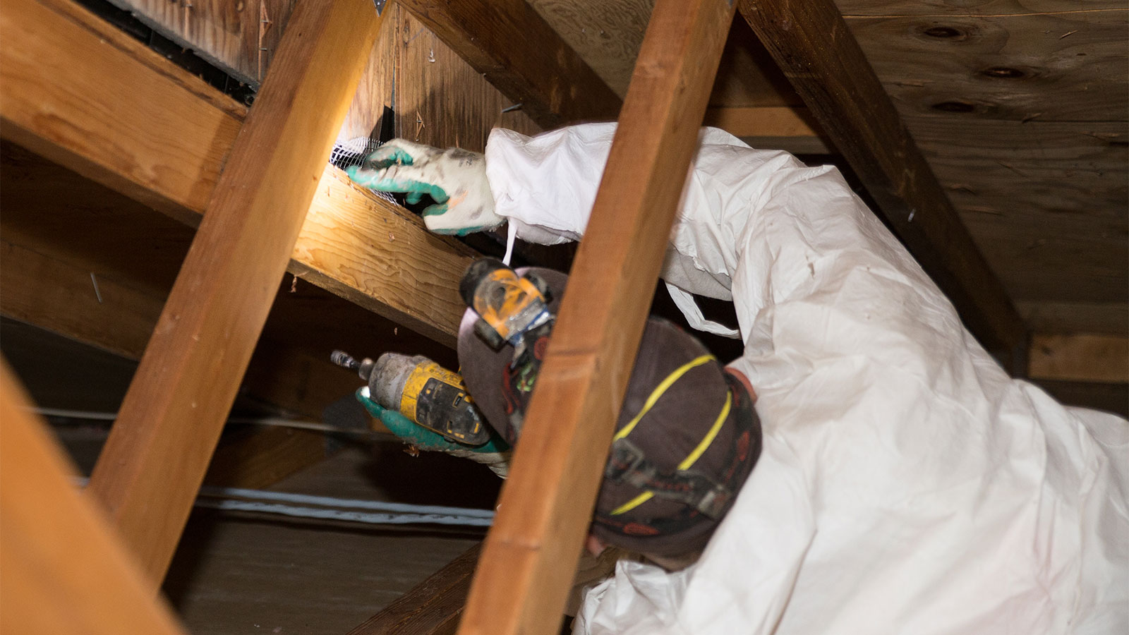 Crawl Pros professional installing rodent exclusions and trappings in an attic