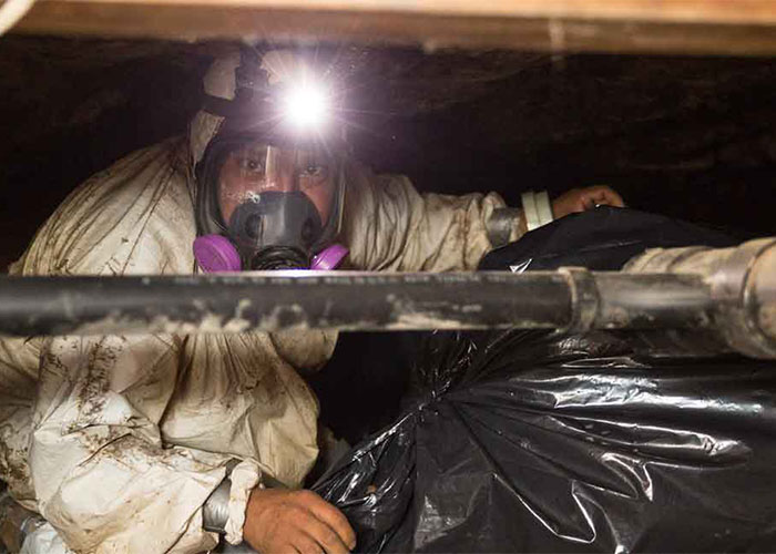 Seattle Crawl Space Cleanout: Why Homeowners Should Care About Maintaining a Clean Crawl Space 2023