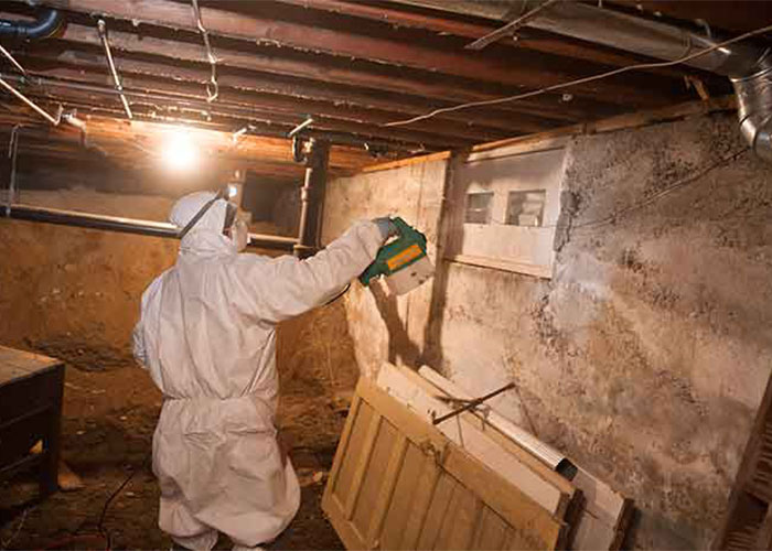 mold removal and remediation services decatur ga