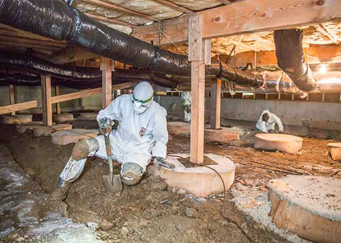 Crawl Space Cleaning Everett