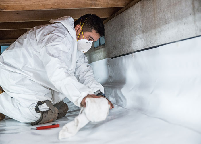 Crawl Space Water Removal & Remediation Seattle