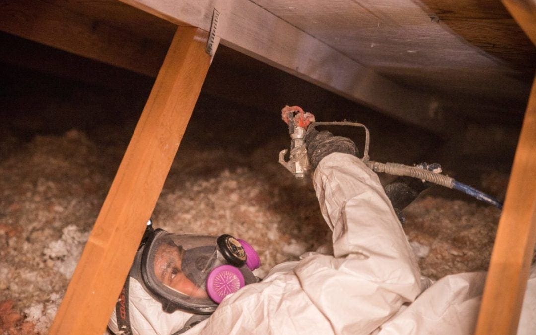 Crawl Space Mold Removal Bellevue