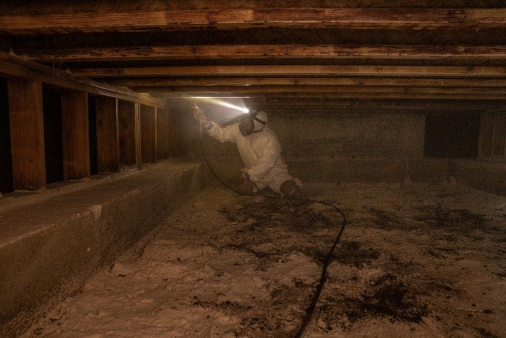 Crawl Space Mold Removal Woodinville