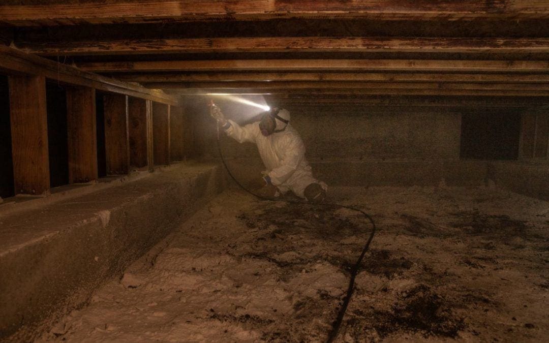 Crawl Space Mold Removal Woodinville