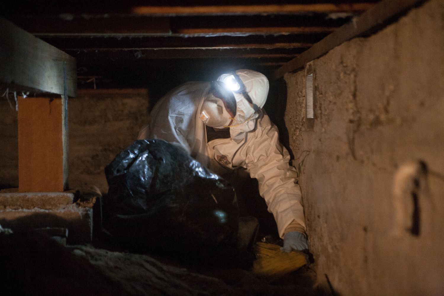 Crawl Space Cleanout in Redmond