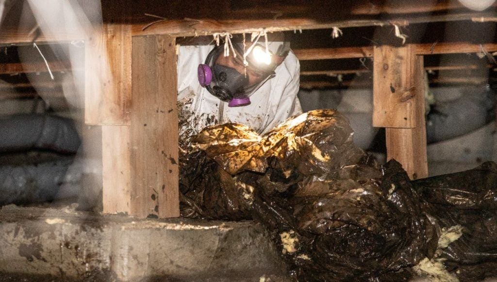 Crawl Space Cleanout Monroe