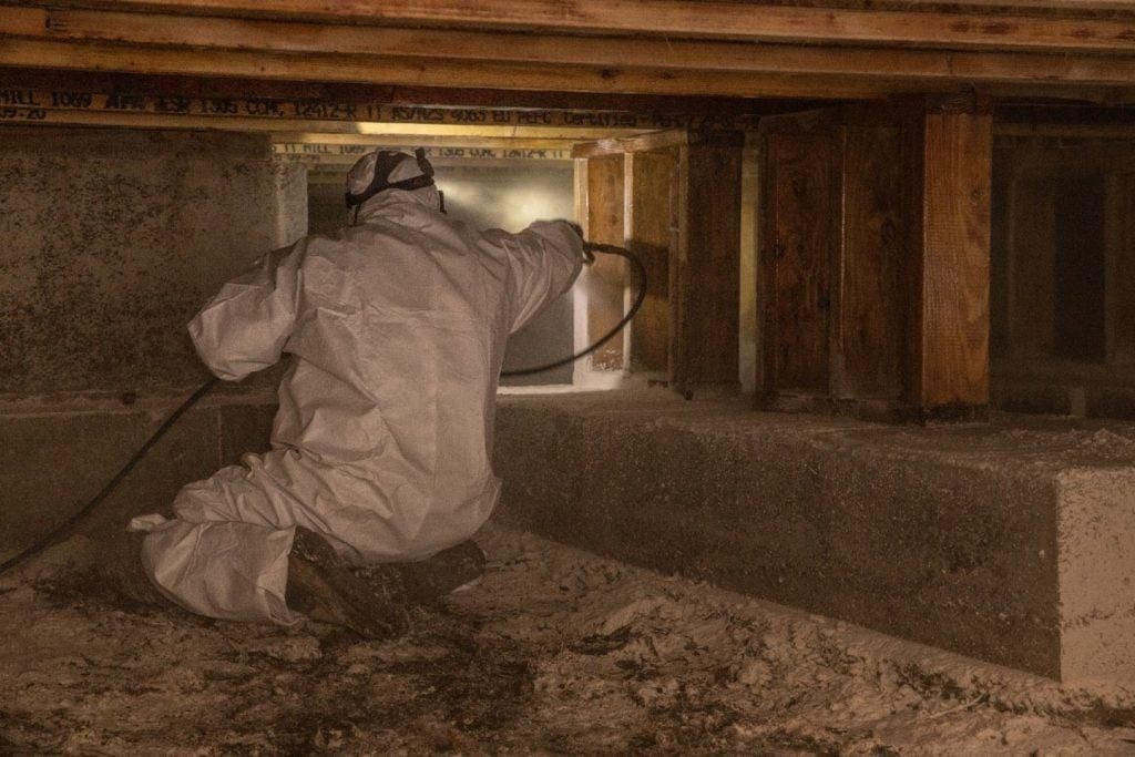 Crawl Space Mold Removal Everett