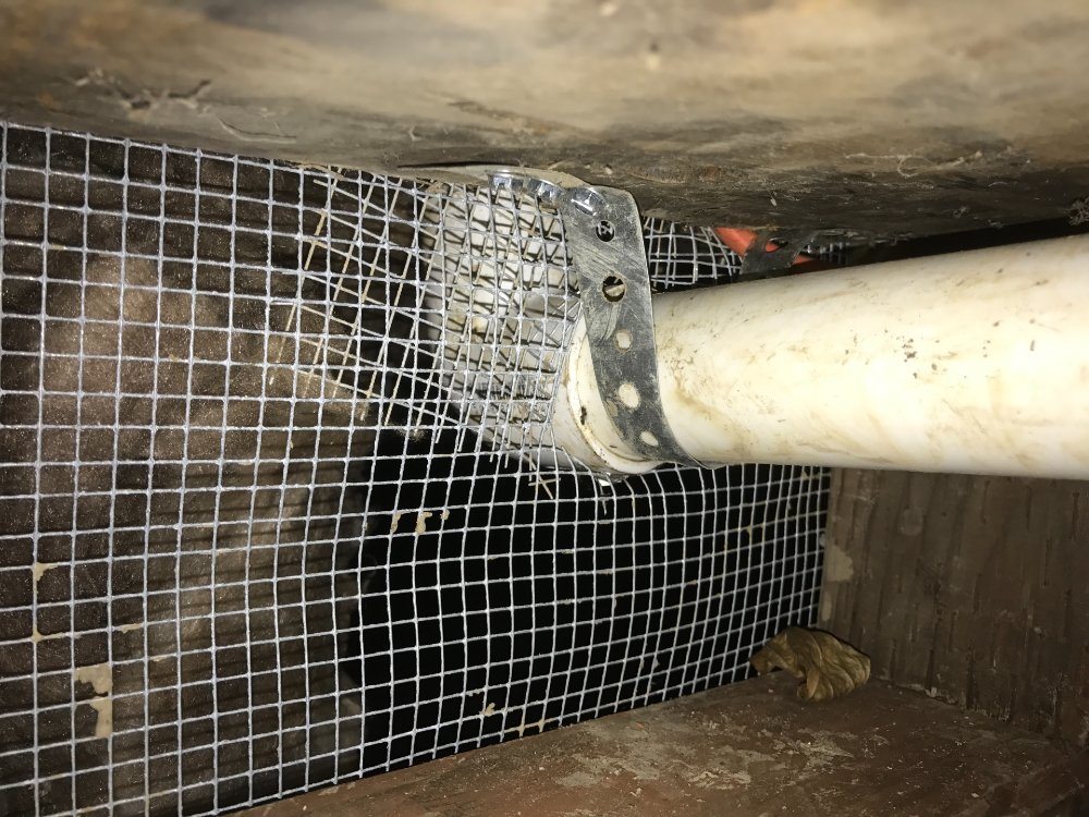 Blocked rat entry point around pipe