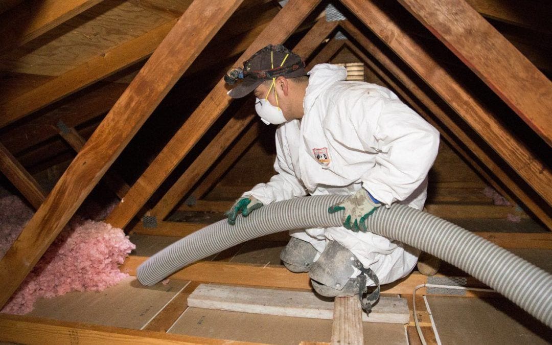 Attic Insulation Costs: The Importance of Attic Cleanouts | 2022
