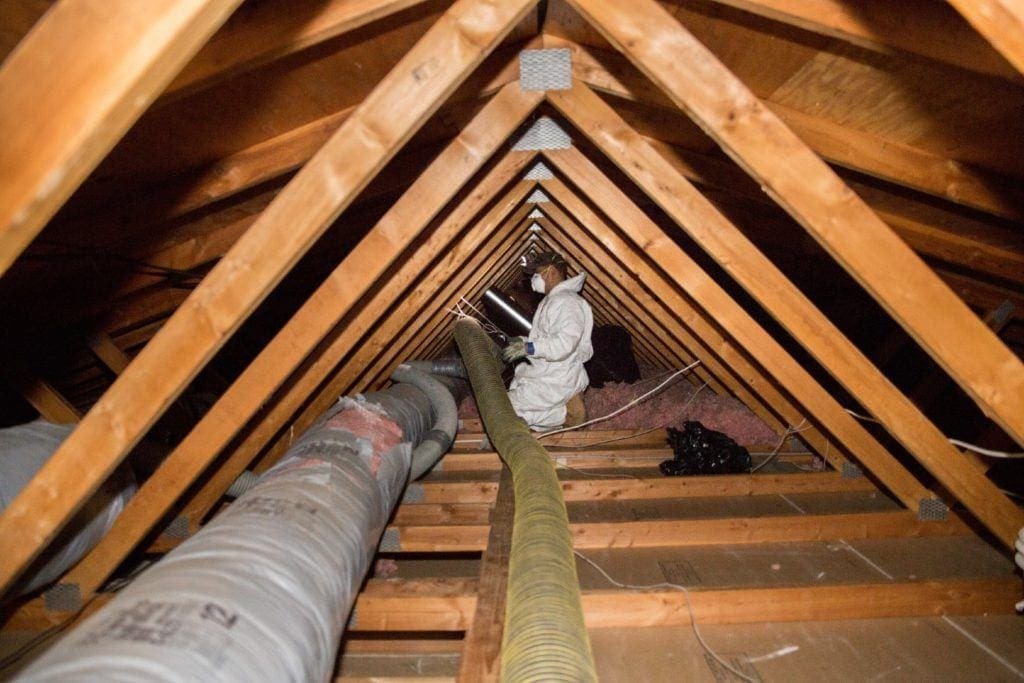 Attic Insulation Costs The Importance Of Attic Cleanouts Crawl Pros