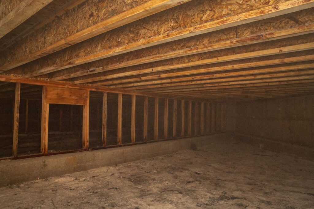 Crawl space mold removal