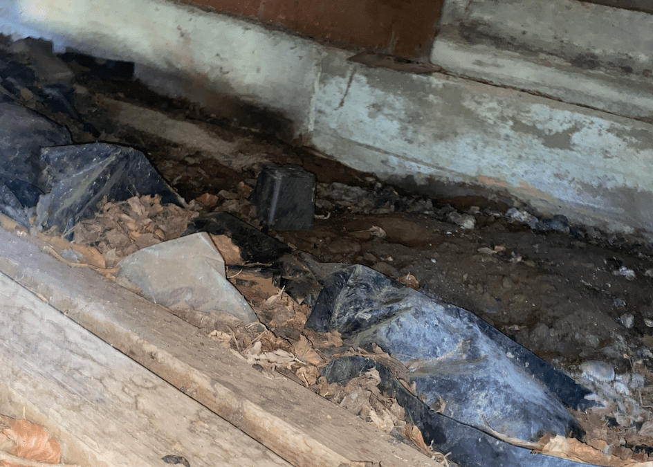 Crawl space in need of a crawl space cleanout