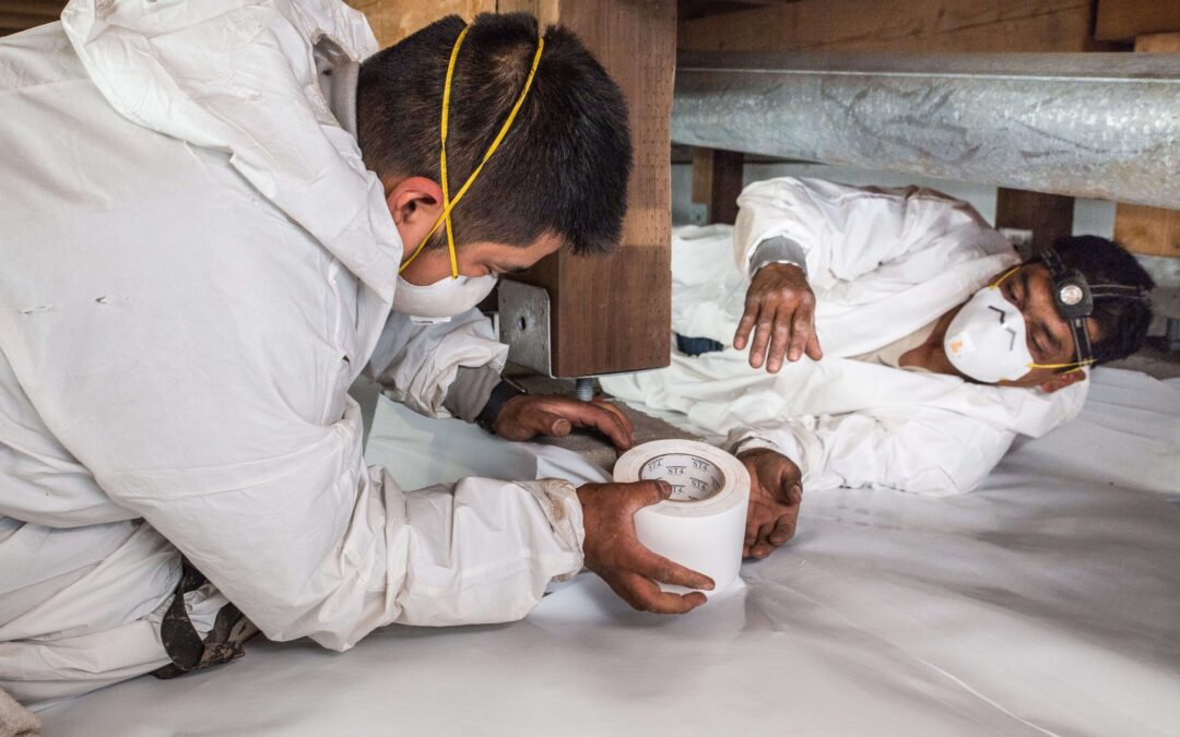 Professional crawl space crew