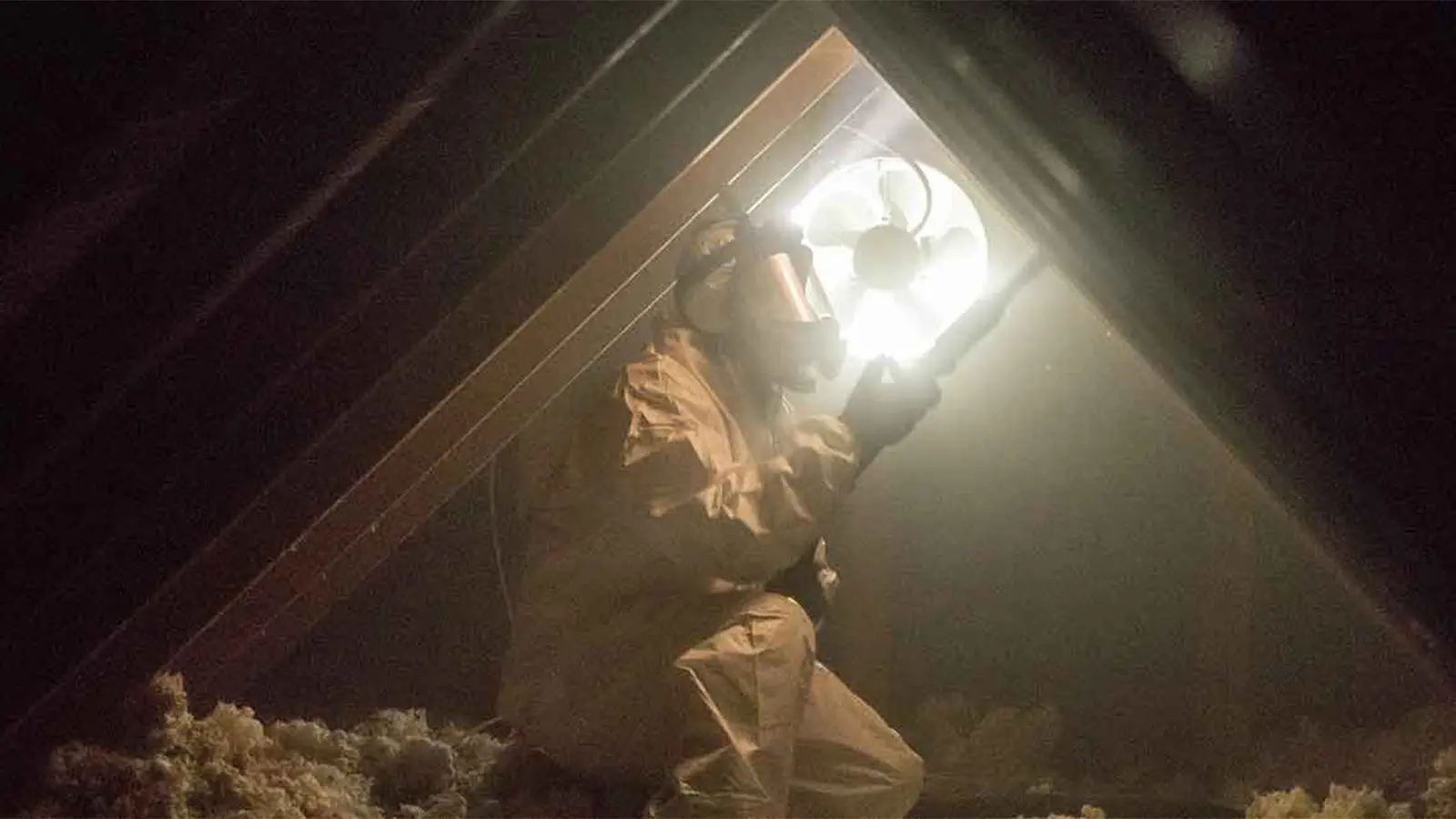 Crawl Pros professional performing an attic mold remediation in an attic